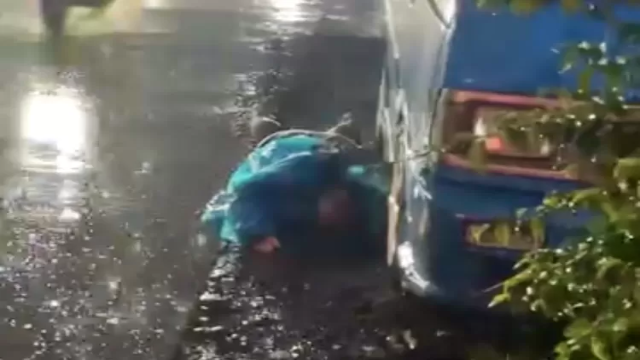 Tragedi Mencekam di Gunung Putri Bogo: Penemuan Mayat Wanita